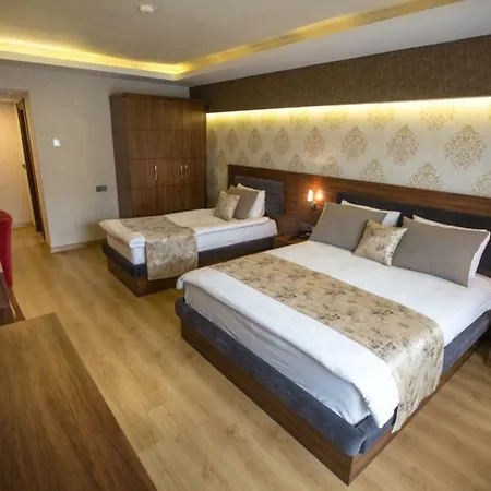 Deluxe 2* Alasehir